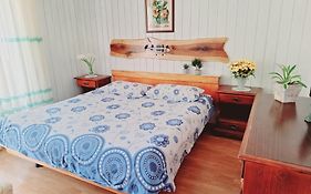 Apartma Ferjan