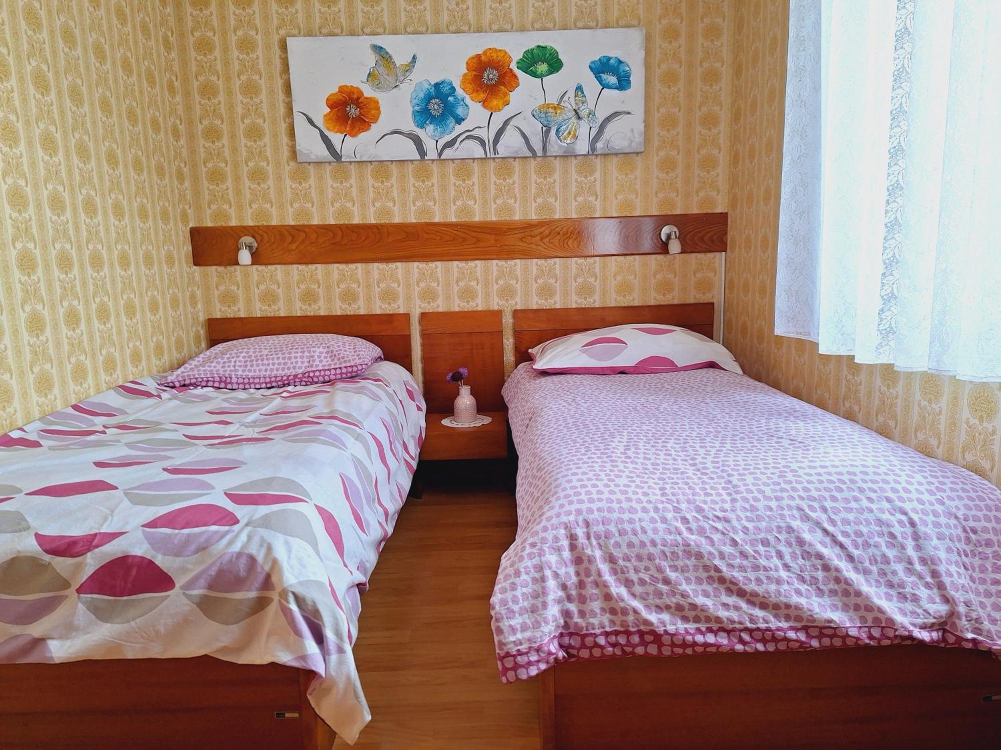 Apartma Ferjan Zaga Exterior foto